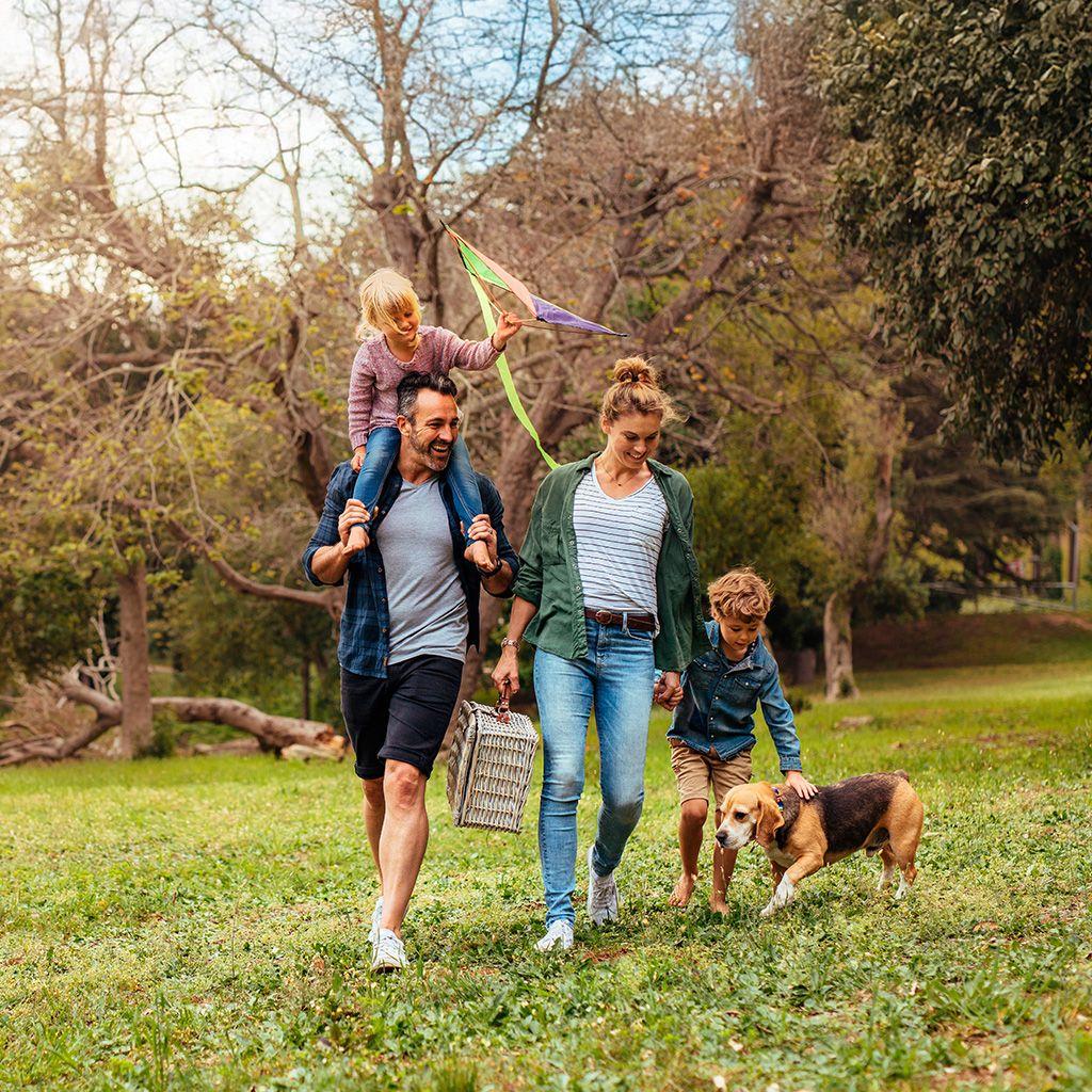 Family walking in parkland with picnic