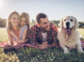 Family with dog lying down on grass